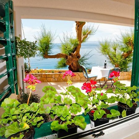 Studio Apartman Papic Драшнице Экстерьер фото